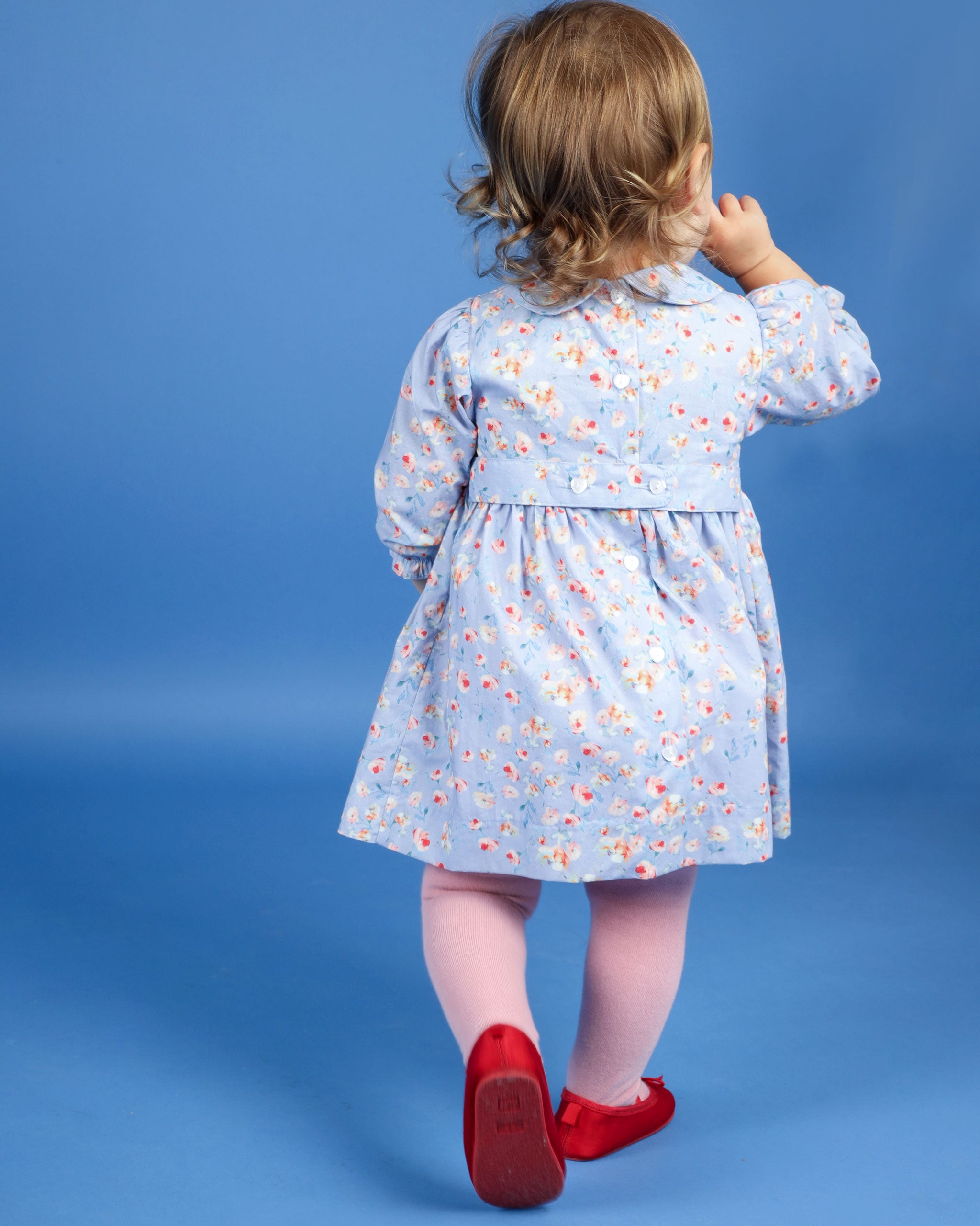 toddler in blue smocked dress back